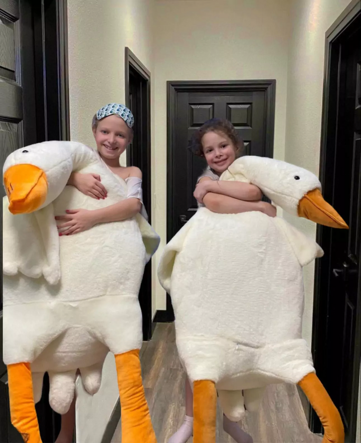 KuschelFreund | Der perfekte Begleiter für Kuschelzeiten und Entspannung